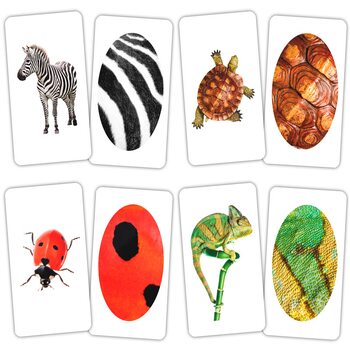 Игра-парочки «Животные и фрагмент», укр.