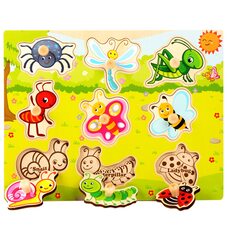 Рамка-вкладыш «Насекомые»