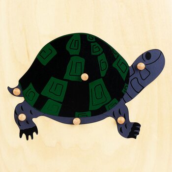 Строение черепахи №3