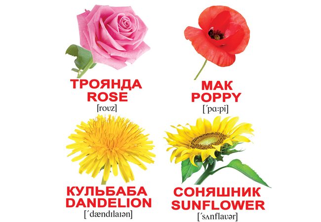 Мини-карточки украинско-английские «Цветы», 20