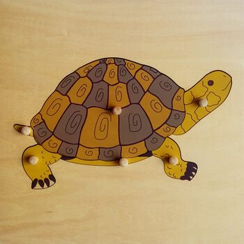 Строение черепахи №2