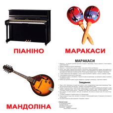 Большие украинские карточки с фактами «Музыкальные инструменты», 20 