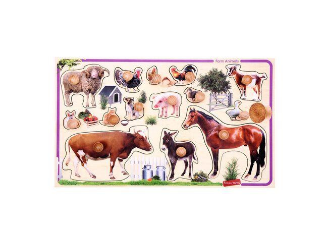 Фигуры-вкладыши «Домашние животные»