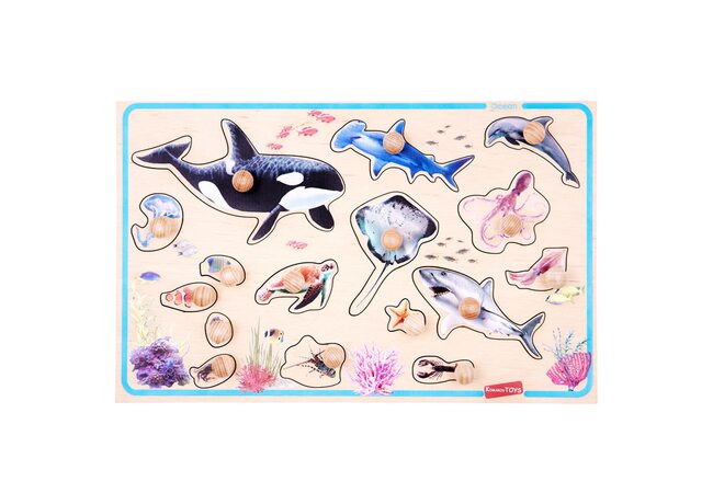 «Подводный мир» типа Монтессори