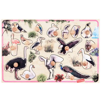 Вкладиш «Птахи»