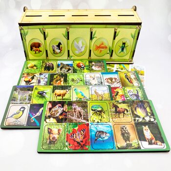 Чарівний комодик «Види тварин»