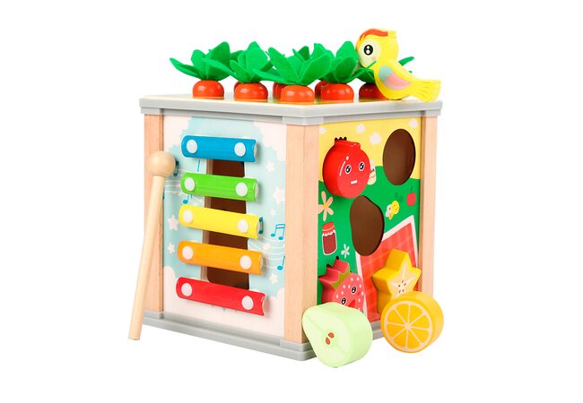 Всеосяжный бизикуб