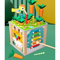 Всеосяжный бизикуб