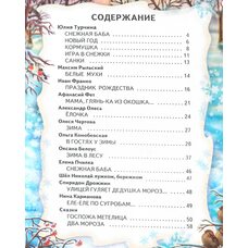 Книга «Новогодний сюрприз», рус.