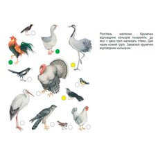 Учебное пособие «Планета рассуждений. 2 класс», укр.