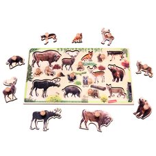 Вкладыши «Жители леса»