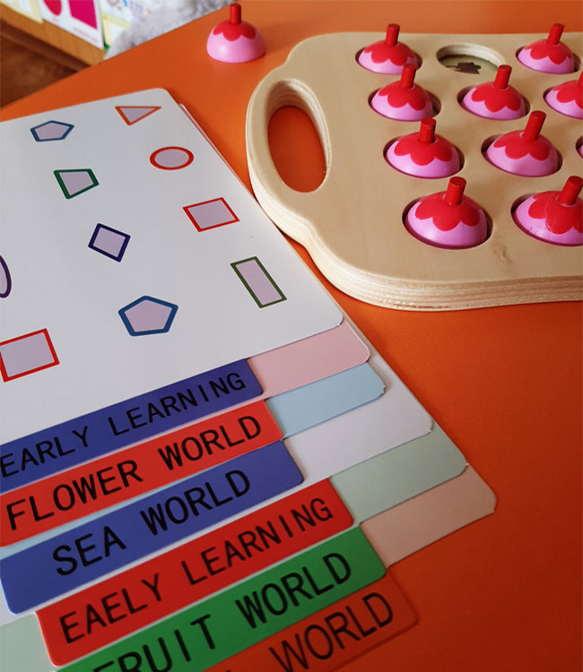 Фото 2. Обзор игра мемо окружающая среда розовая