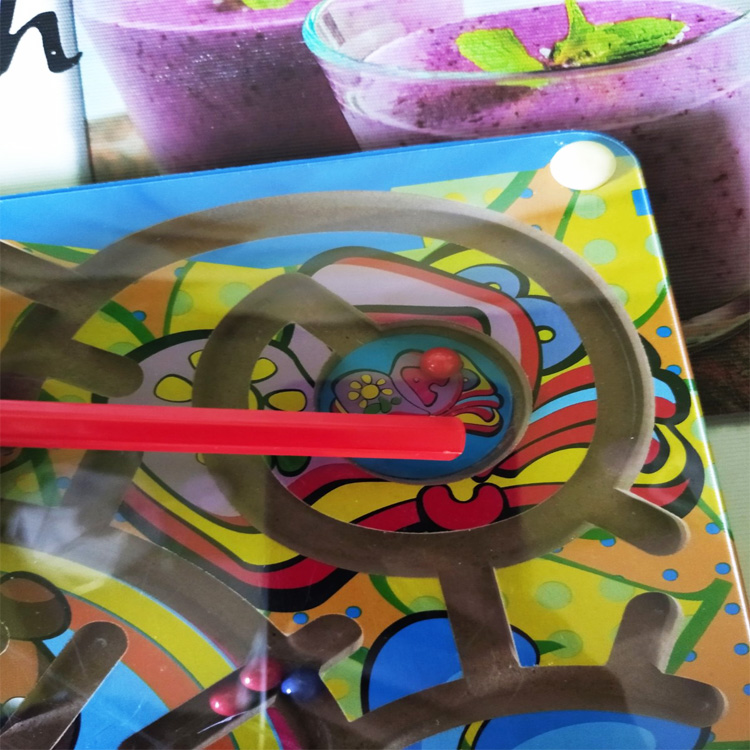 Фото 4. Магнитный лабиринт Игрушки