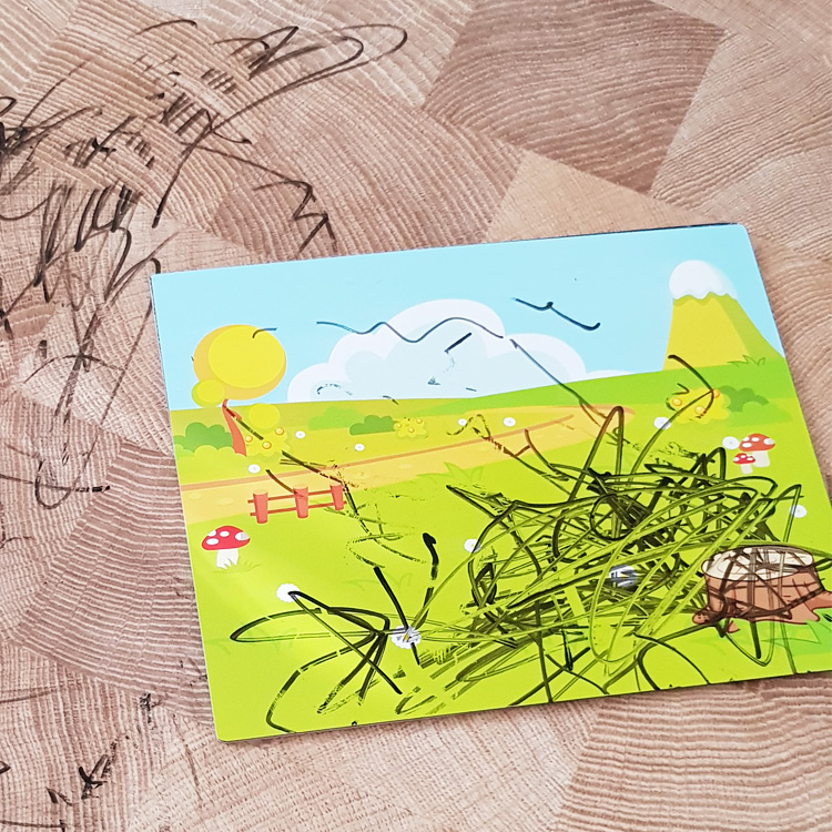 Фото 5, Магнітний цирк